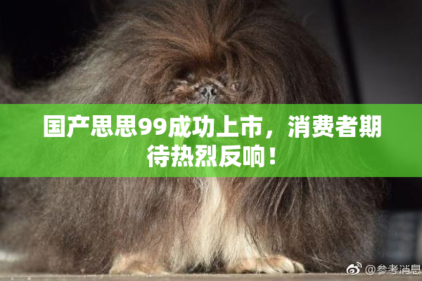 国产思思99成功上市，消费者期待热烈反响！