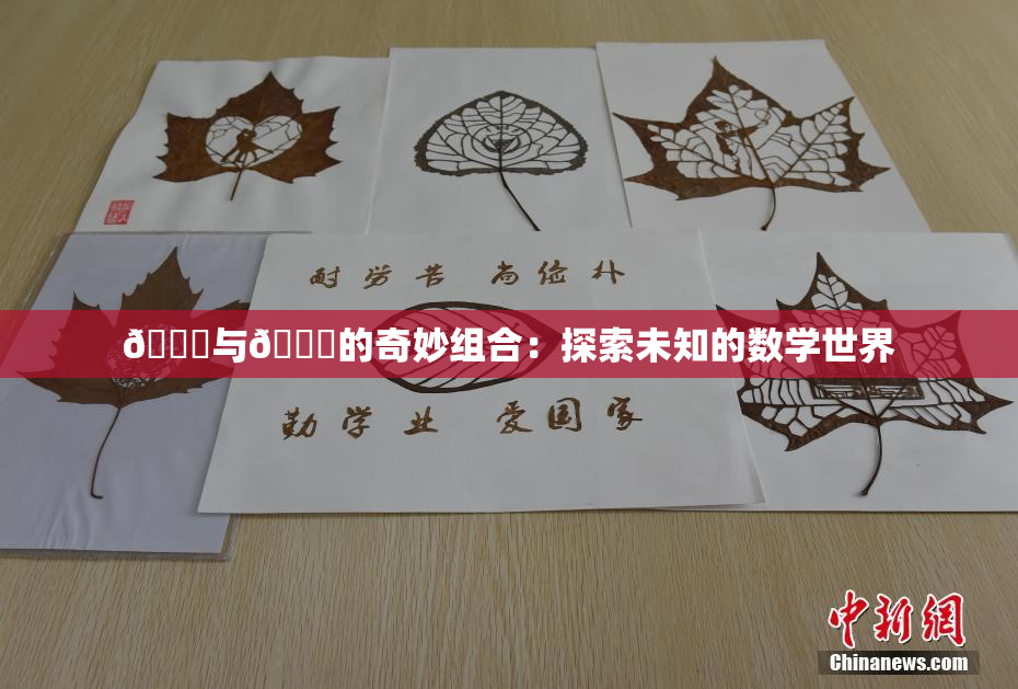🍆与🔞的奇妙组合：探索未知的数学世界