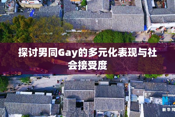 探讨男同Gay的多元化表现与社会接受度