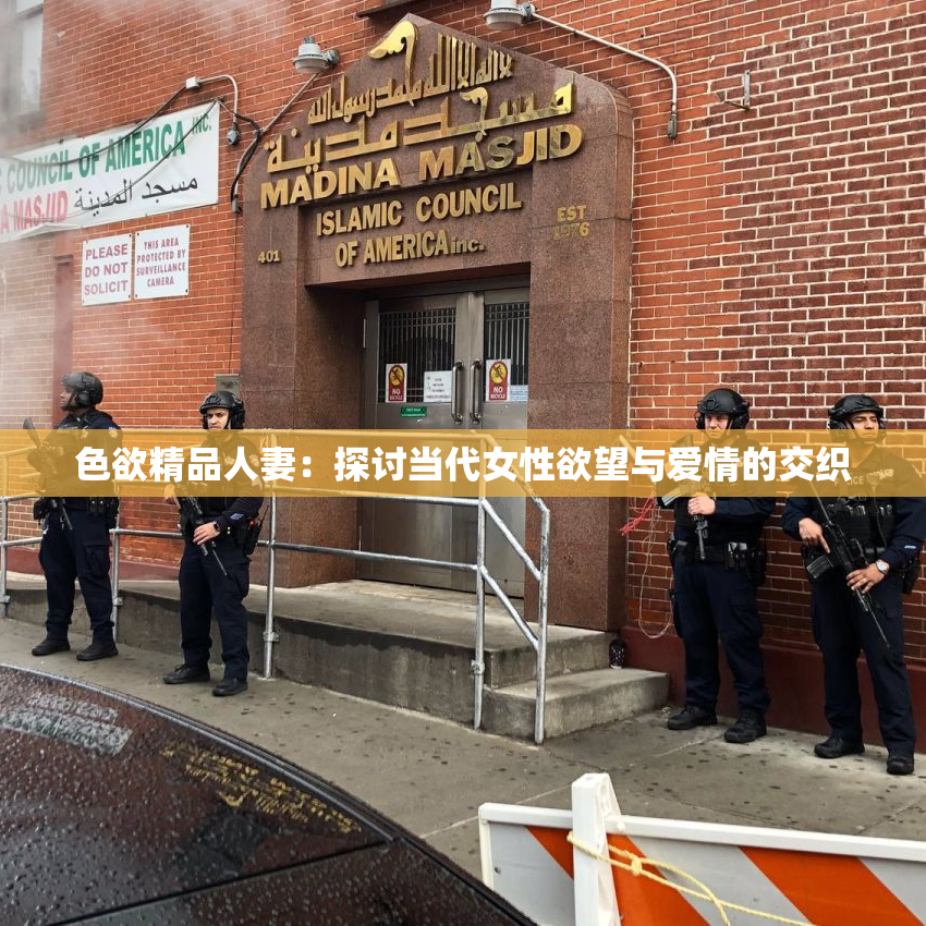 色欲精品人妻：探讨当代女性欲望与爱情的交织