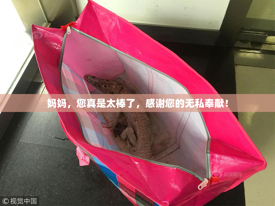 妈妈，您真是太棒了，感谢您的无私奉献！