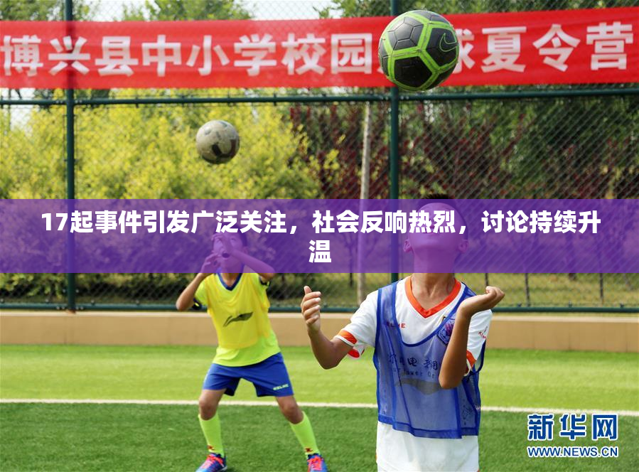 17起事件引发广泛关注，社会反响热烈，讨论持续升温