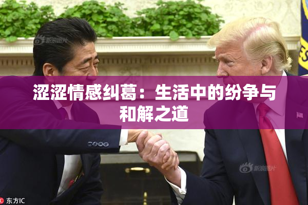 涩涩情感纠葛：生活中的纷争与和解之道