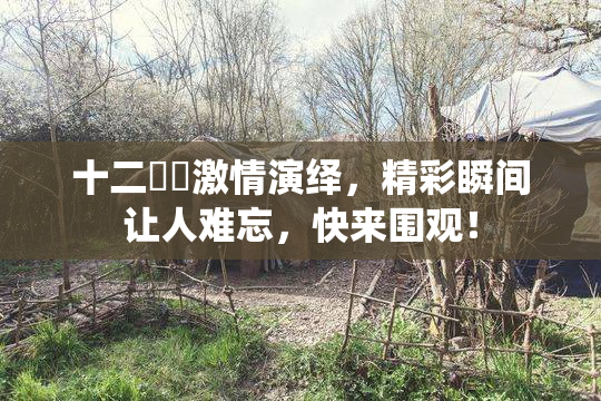 十二妺妺激情演绎，精彩瞬间让人难忘，快来围观！