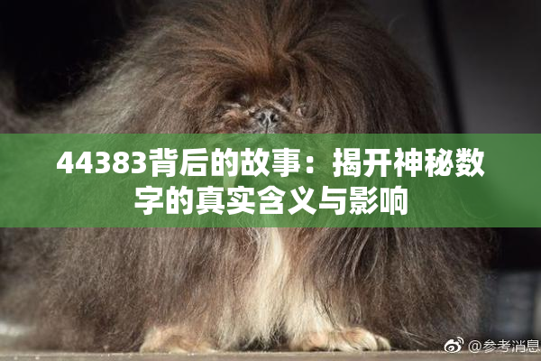 44383背后的故事：揭开神秘数字的真实含义与影响