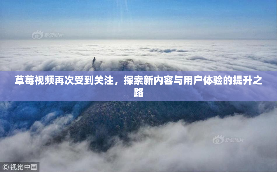 草莓视频再次受到关注，探索新内容与用户体验的提升之路