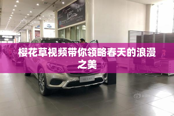 樱花草视频带你领略春天的浪漫之美