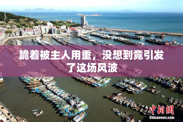 跪着被主人用重，没想到竟引发了这场风波