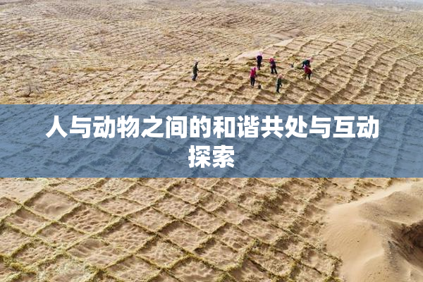 人与动物之间的和谐共处与互动探索