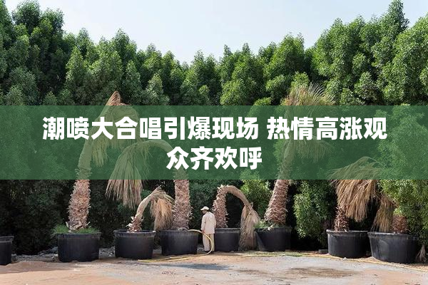 潮喷大合唱引爆现场 热情高涨观众齐欢呼