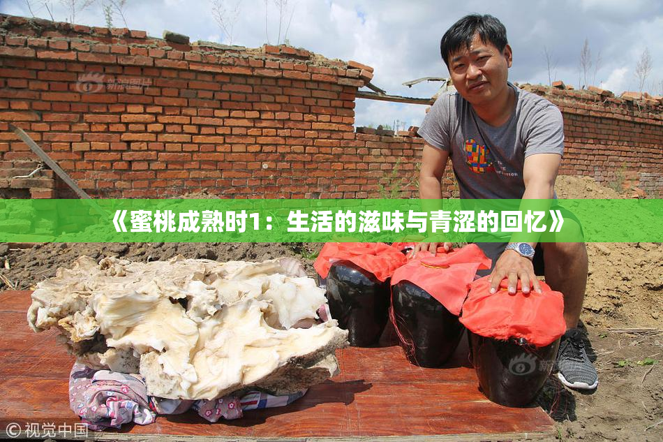 《蜜桃成熟时1：生活的滋味与青涩的回忆》