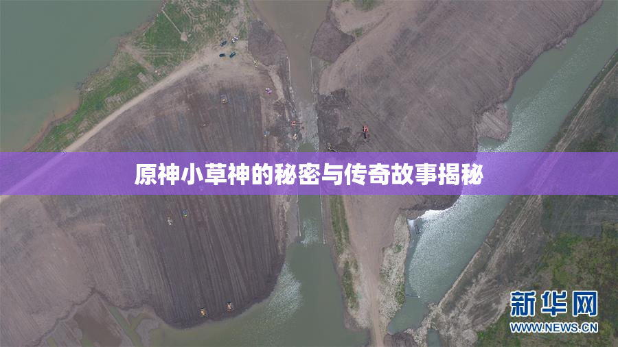 原神小草神的秘密与传奇故事揭秘