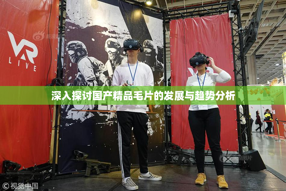 深入探讨国产精品毛片的发展与趋势分析
