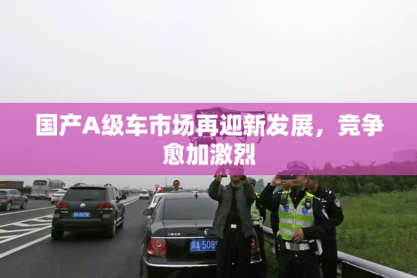 国产A级车市场再迎新发展，竞争愈加激烈
