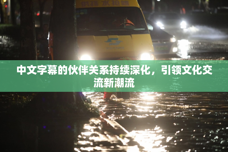 中文字幕的伙伴关系持续深化，引领文化交流新潮流