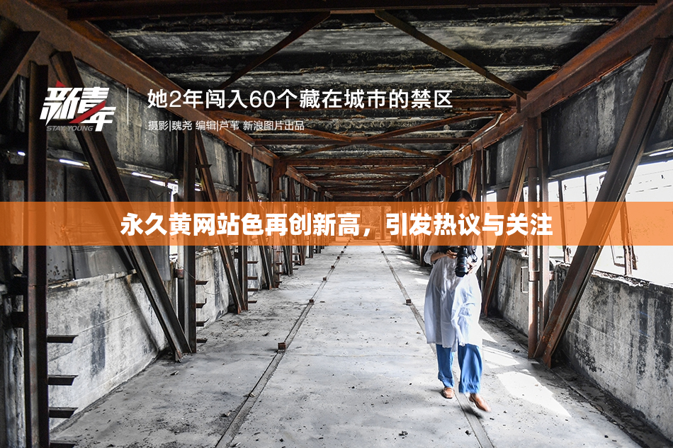 永久黄网站色再创新高，引发热议与关注