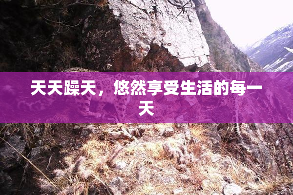 天天躁天，悠然享受生活的每一天