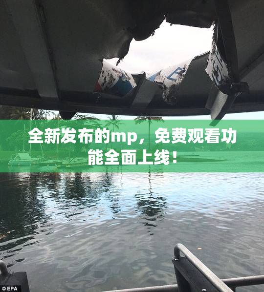 全新发布的mp，免费观看功能全面上线！