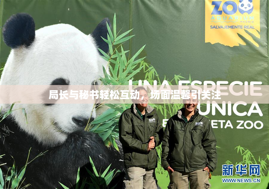 局长与秘书轻松互动，场面温馨引关注