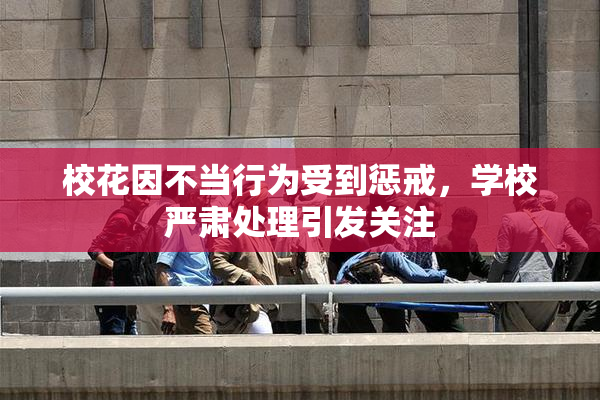 校花因不当行为受到惩戒，学校严肃处理引发关注