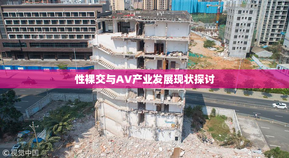 性裸交与AV产业发展现状探讨