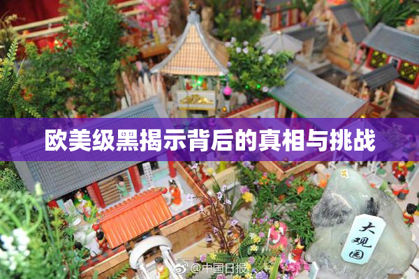 欧美级黑揭示背后的真相与挑战