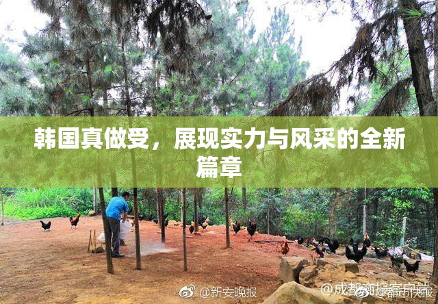 韩国真做受，展现实力与风采的全新篇章