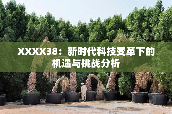 XXXX38：新时代科技变革下的机遇与挑战分析