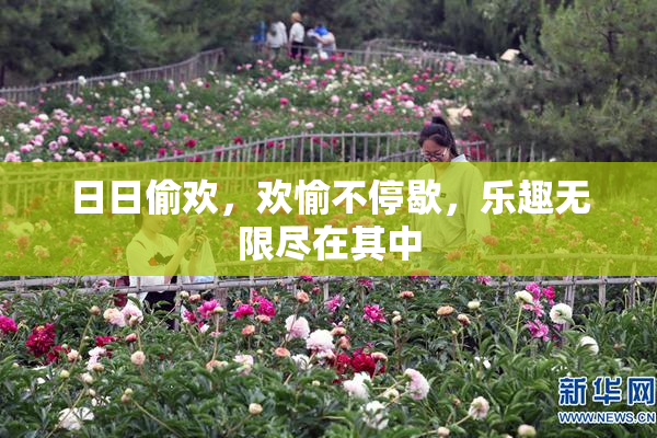 日日偷欢，欢愉不停歇，乐趣无限尽在其中
