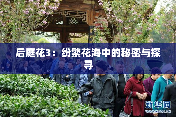 后庭花3：纷繁花海中的秘密与探寻