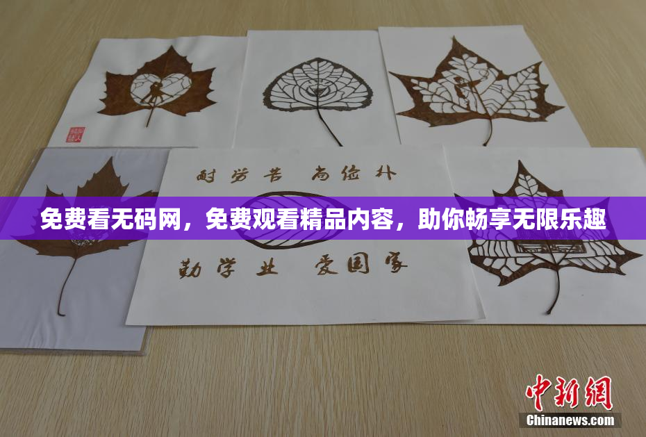 免费看无码网，免费观看精品内容，助你畅享无限乐趣