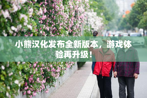 小熊汉化发布全新版本，游戏体验再升级！