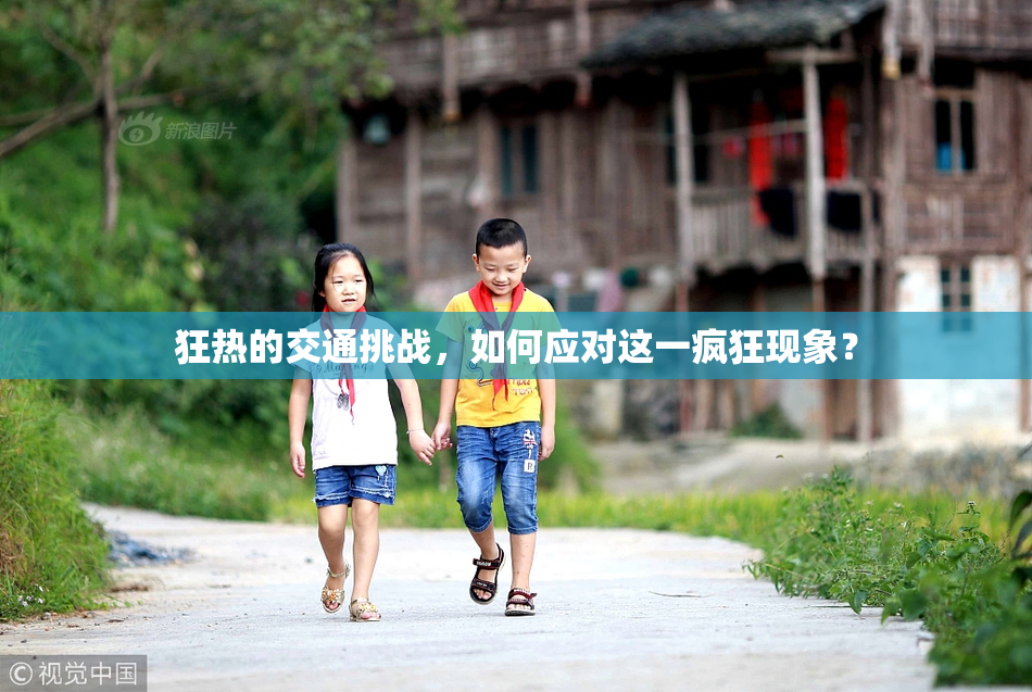 狂热的交通挑战，如何应对这一疯狂现象？