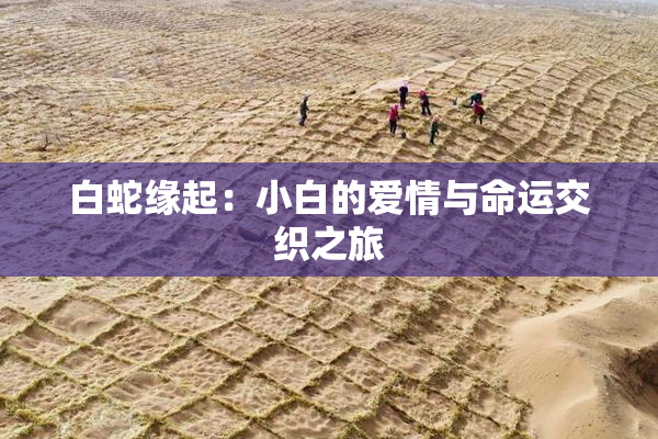 白蛇缘起：小白的爱情与命运交织之旅