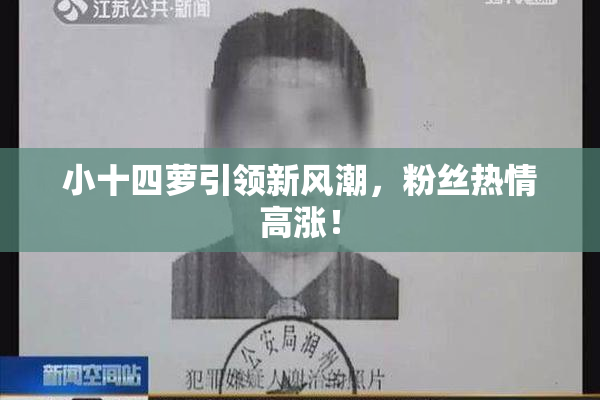 小十四萝引领新风潮，粉丝热情高涨！