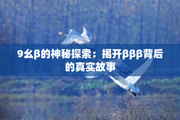 9幺β的神秘探索：揭开βββ背后的真实故事