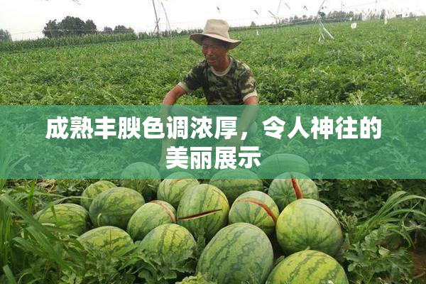 成熟丰腴色调浓厚，令人神往的美丽展示