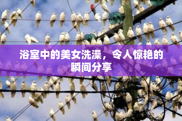 浴室中的美女洗澡，令人惊艳的瞬间分享