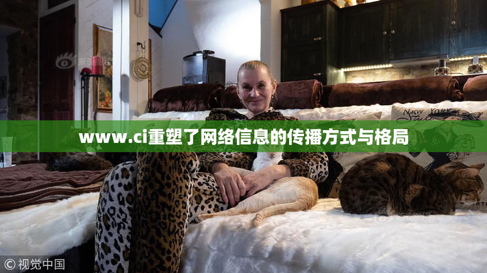 www.ci重塑了网络信息的传播方式与格局
