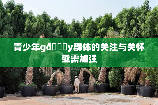 青少年g🈚y群体的关注与关怀亟需加强