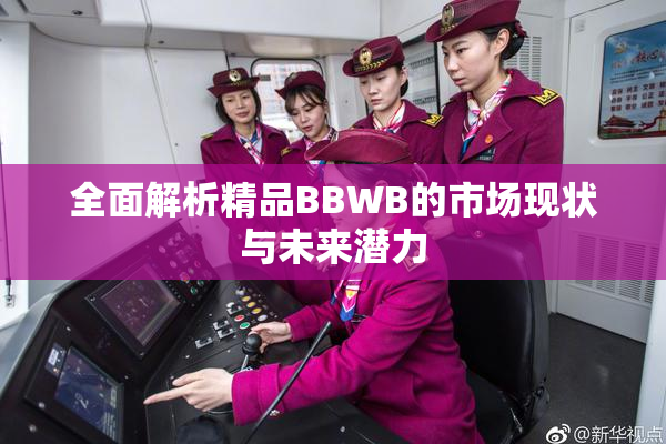 全面解析精品BBWB的市场现状与未来潜力