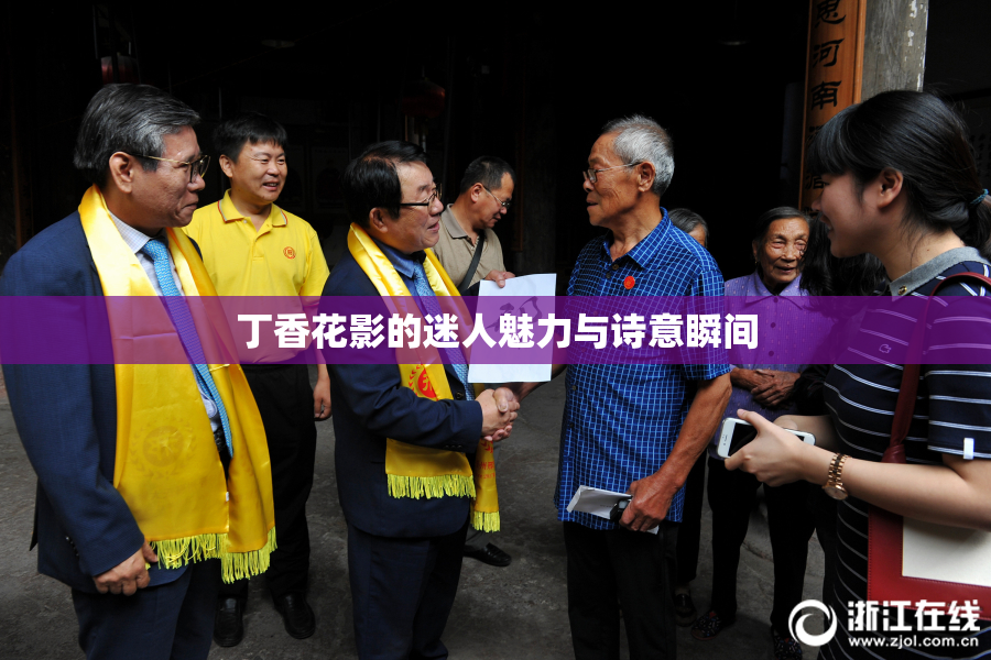 丁香花影的迷人魅力与诗意瞬间