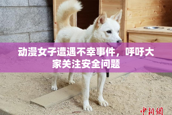 动漫女子遭遇不幸事件，呼吁大家关注安全问题