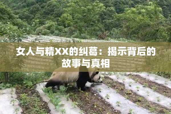 女人与精XX的纠葛：揭示背后的故事与真相