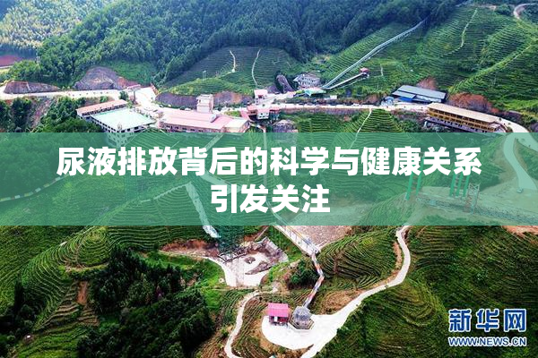 尿液排放背后的科学与健康关系引发关注