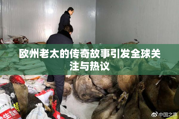 欧州老太的传奇故事引发全球关注与热议