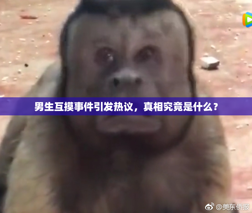 男生互摸事件引发热议，真相究竟是什么？