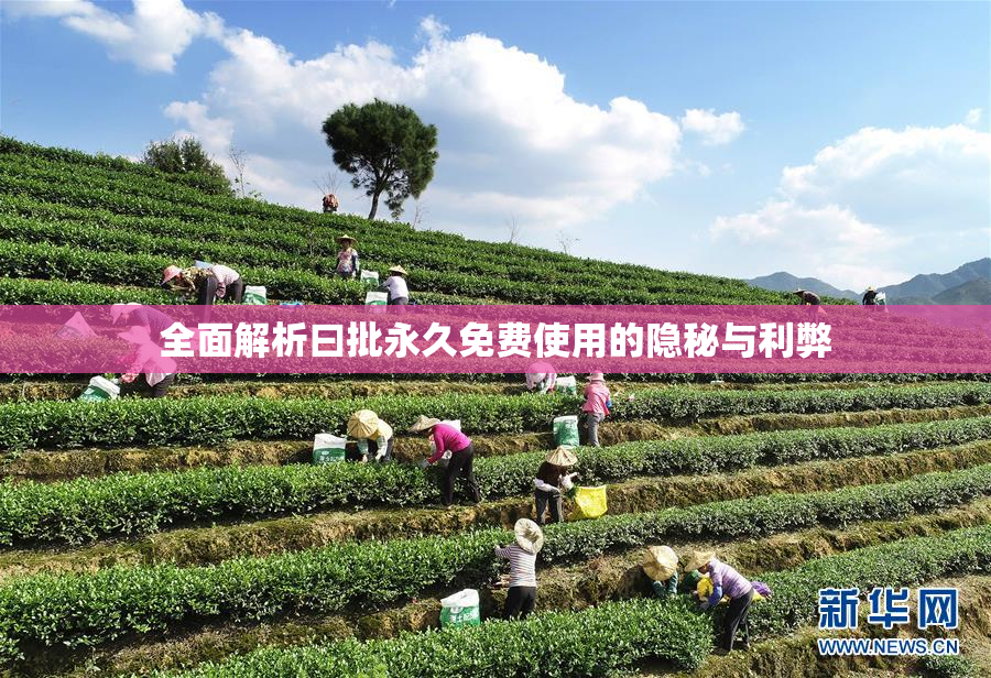 全面解析曰批永久免费使用的隐秘与利弊