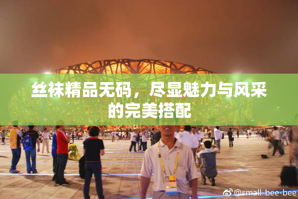 丝袜精品无码，尽显魅力与风采的完美搭配