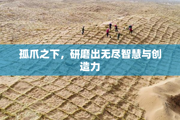 孤爪之下，研磨出无尽智慧与创造力